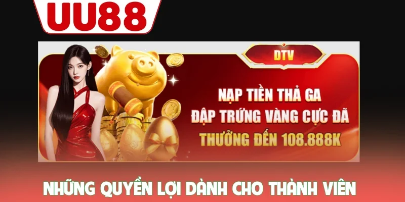 Những quyền lợi dành cho thành viên